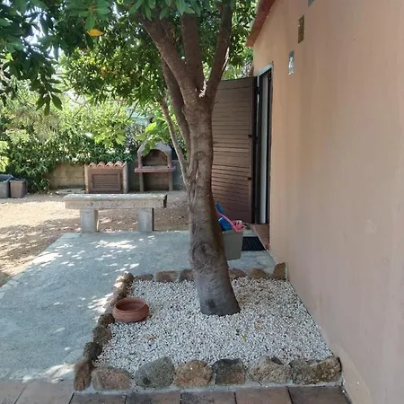 Guest house La Ginestra